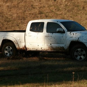 muddin