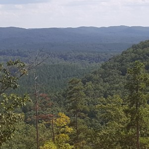 20180817_155440
