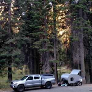 Sequoia NP past weekend.