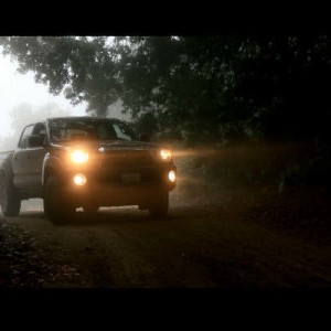 Tacoma in the mist