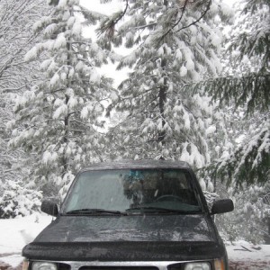 snow in the Mendocino forest
