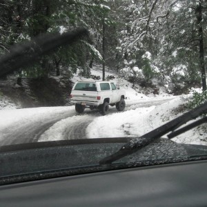 snow in the Mendocino forest