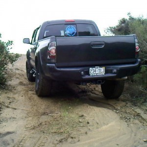 flexin
