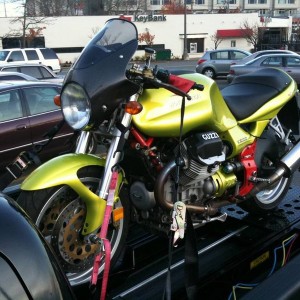 Guzzi