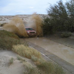 Ocotillo_with_CT_12_13_08_015