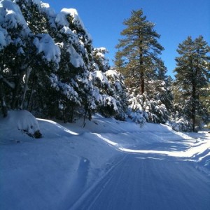 Lone Pine Rd - Wrightwood 1