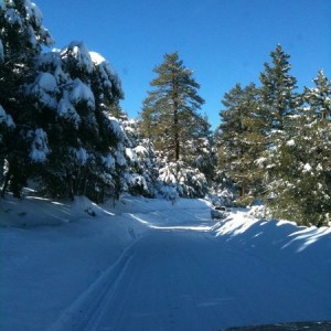 Lone Pine Rd - Wrightwood 2