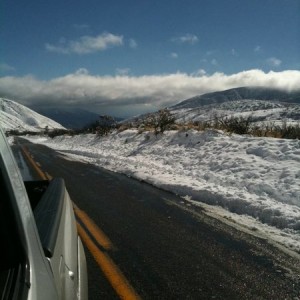 Lone Pine Rd - Wrightwood 3