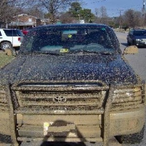 mud_21
