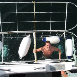 cage diving