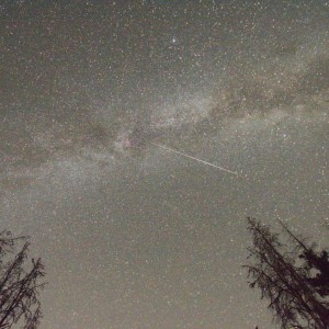 DSC_6838_v2-1152