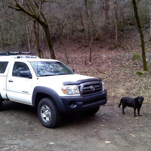 Citico Creek