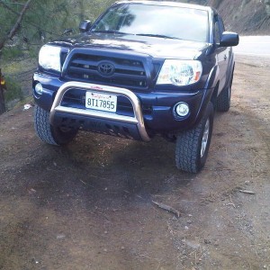 my taco