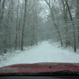 Winter_2009_021