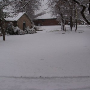 Snow in Texas