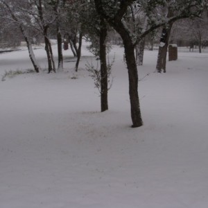 Snow