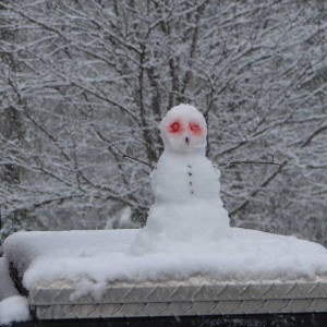 Snow!!!!
