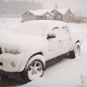 Snow Feb 2010