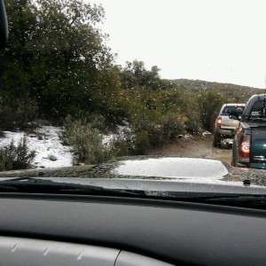 Photo00351