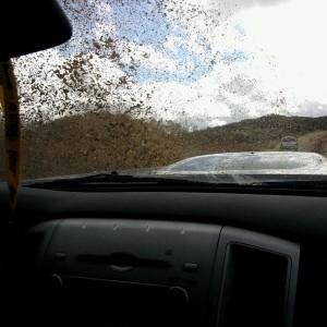 Photo0064a
