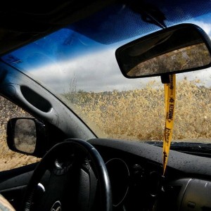 Photo0056