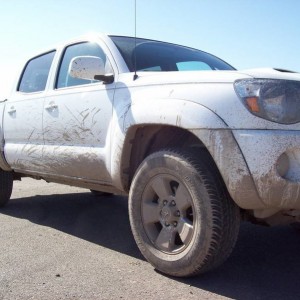white dc sport 2010