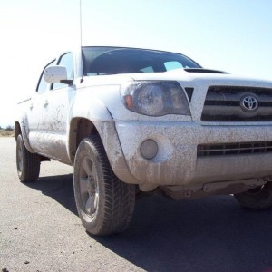 white dc sport 2010