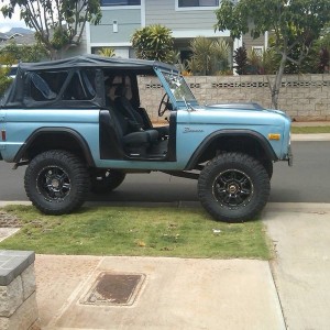 bronco_on_lawn