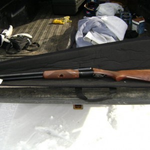 Stoeger