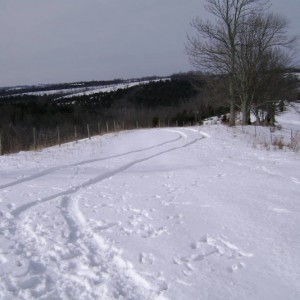 Farm