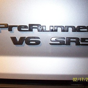 Black Speckeled rears Right side