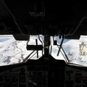 MTNGoat2