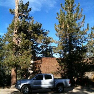Los Padres Forest - near Camp O Alto Campground,