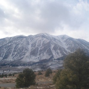 Mammoth 01-2010
