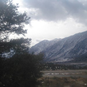 Mammoth 01-2010