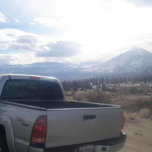 Mammoth 01-2010