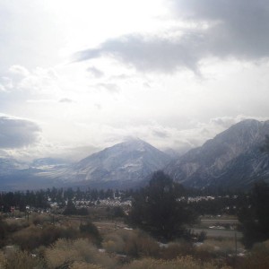 Mammoth 01-2010