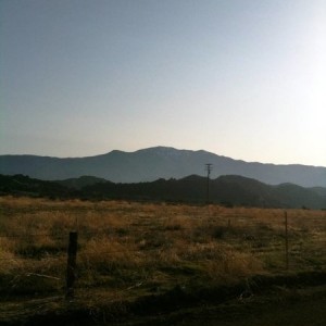 Los Padres - Quatal Canyon (looking towards Cuyama Peak)