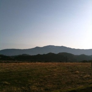 Los Padres - Quatal Canyon (looking towards Cuyama Peak)