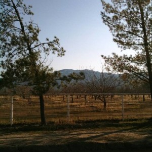 Quatal Canyon near HWY 33, looking towards Cuyama Peak