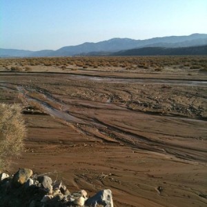 Ventucopa - on the edge of the Cuyama River