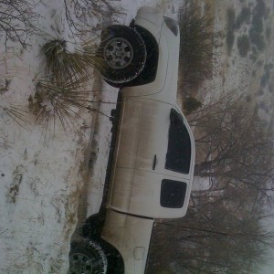 snowy