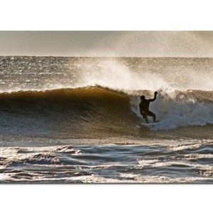 iannelli_backside