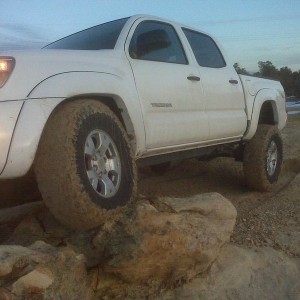 flexing3