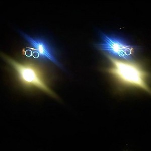 fogs11