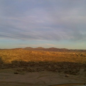 dove springs