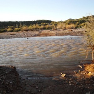 DSC001765