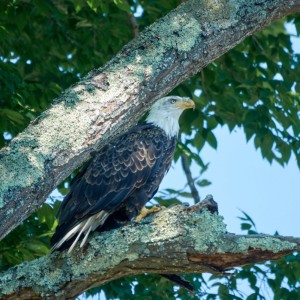 Sep 03 2018_6