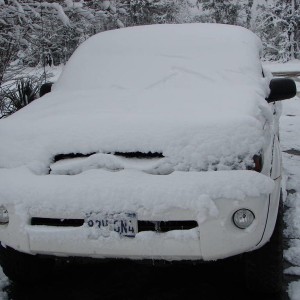 snow_2010_121