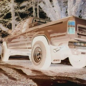 Negative truck